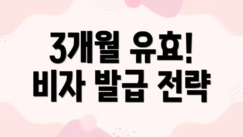 3개월 유효! 비자 발급 전략