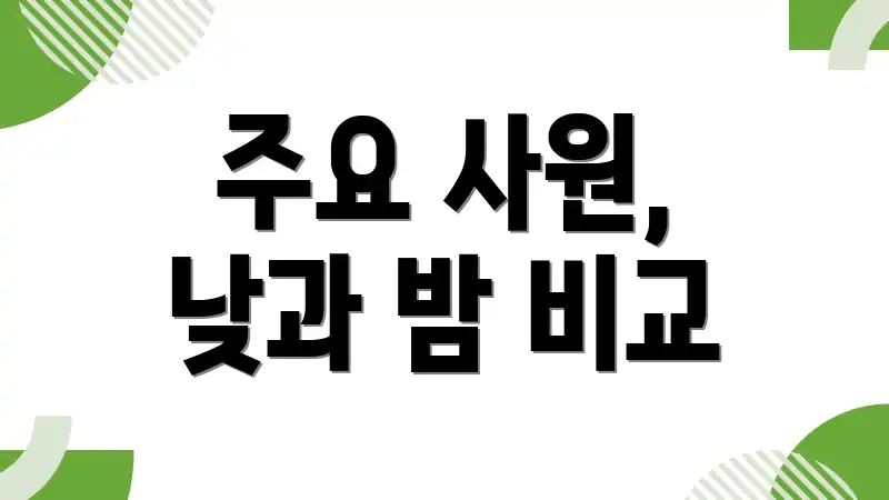 주요 사원, 낮과 밤 비교