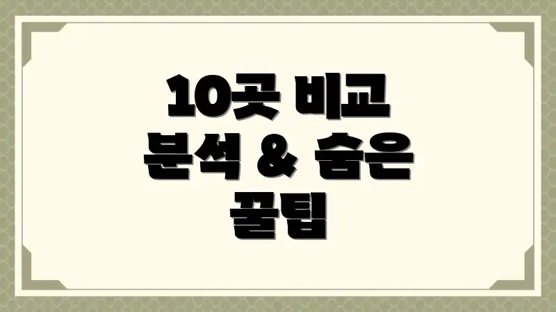 10곳 비교 분석 & 숨은 꿀팁