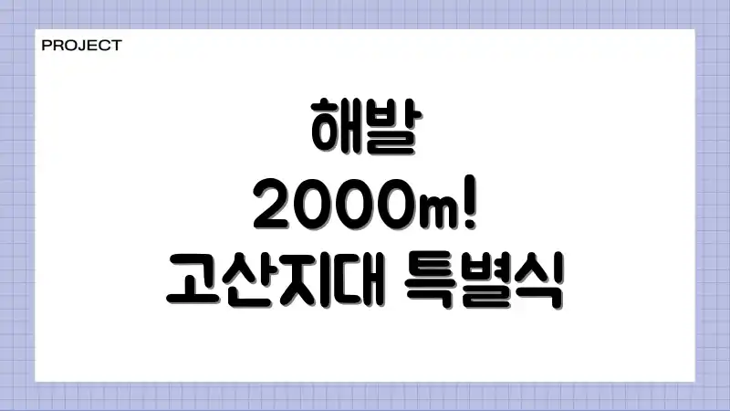 해발 2000m! 고산지대 특별식