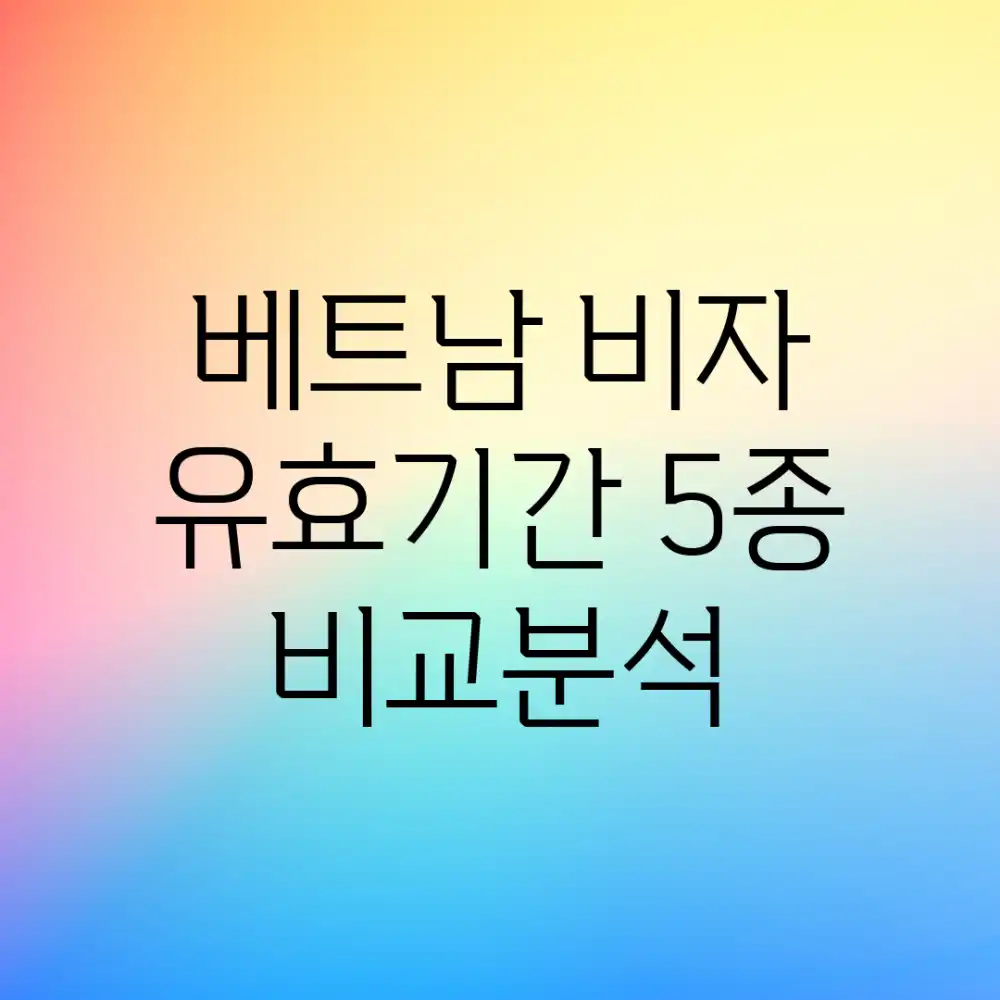 베트남 비자 유효기간 5종 비교분석