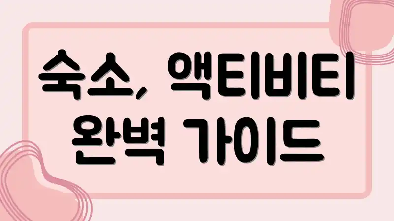 숙소, 액티비티 완벽 가이드