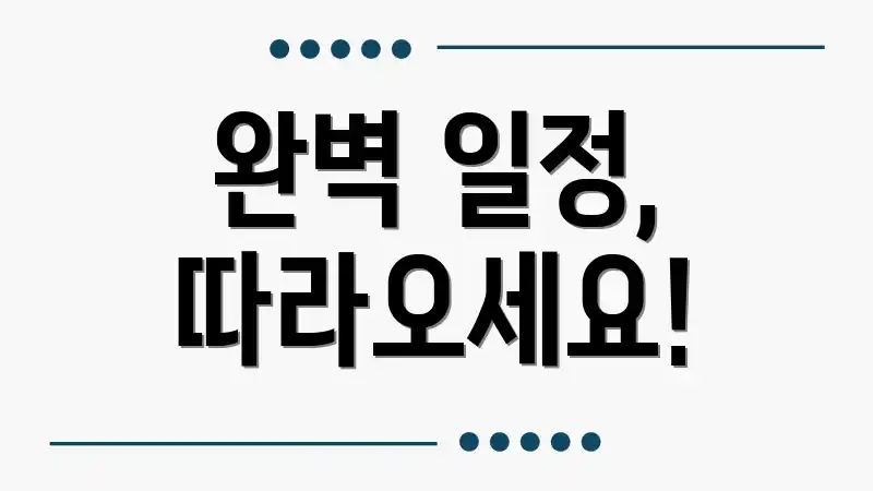 완벽 일정, 따라오세요!