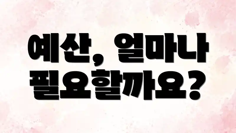 예산, 얼마나 필요할까요?