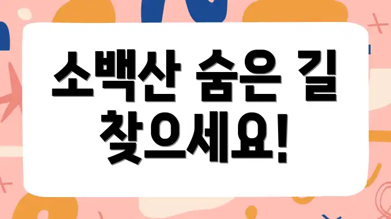 소백산 숨은 길 찾으세요!