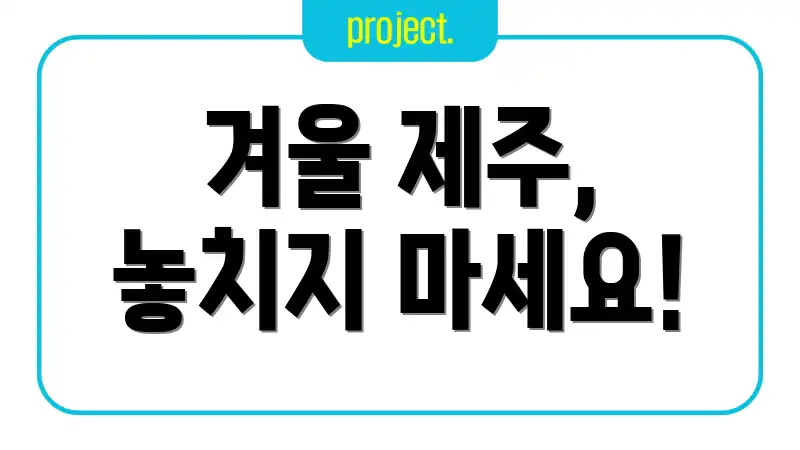 겨울 제주, 놓치지 마세요!