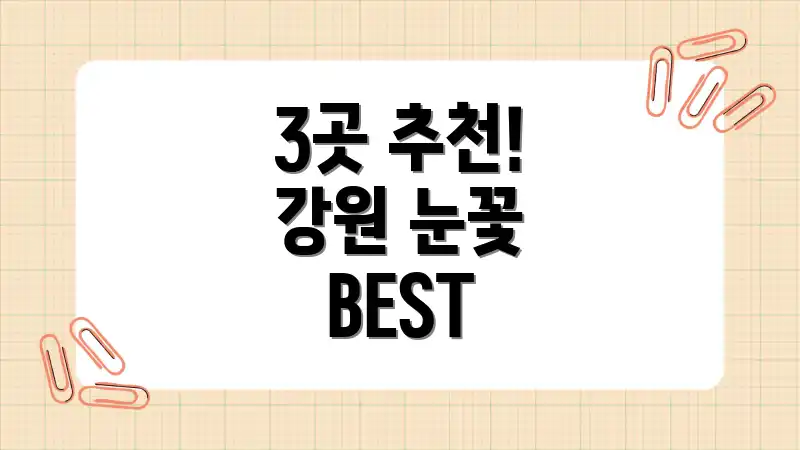 3곳 추천! 강원 눈꽃 BEST