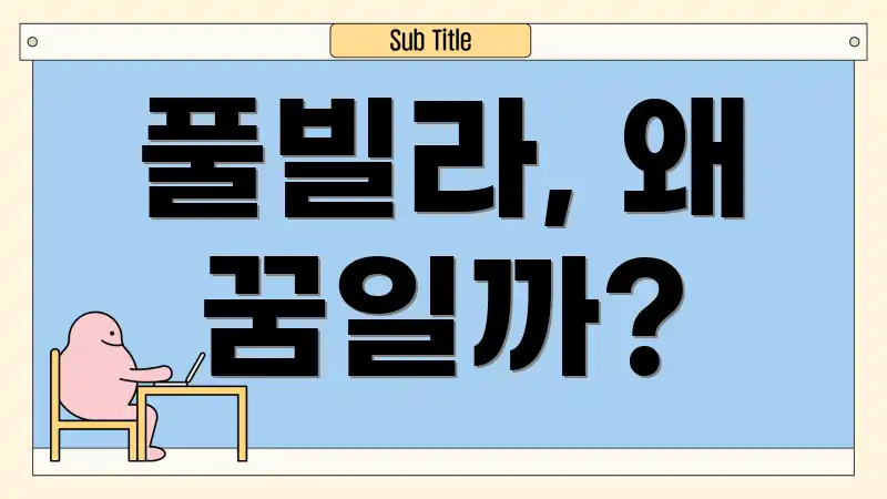 풀빌라, 왜 꿈일까?