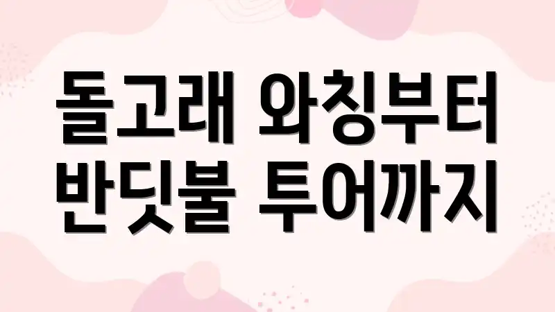 돌고래 와칭부터 반딧불 투어까지