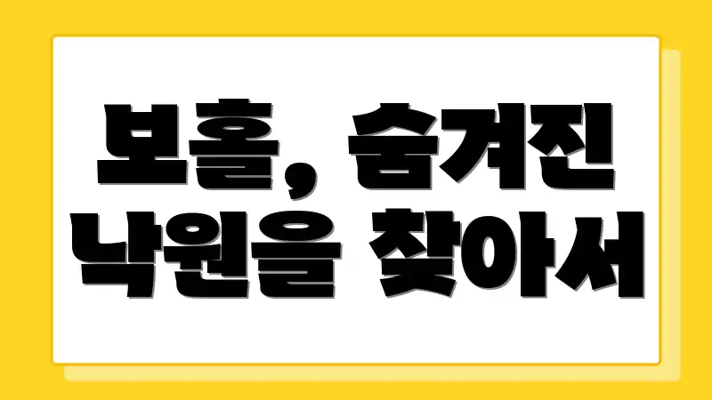 보홀, 숨겨진 낙원을 찾아서