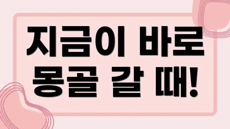 지금이 바로 몽골 갈 때!