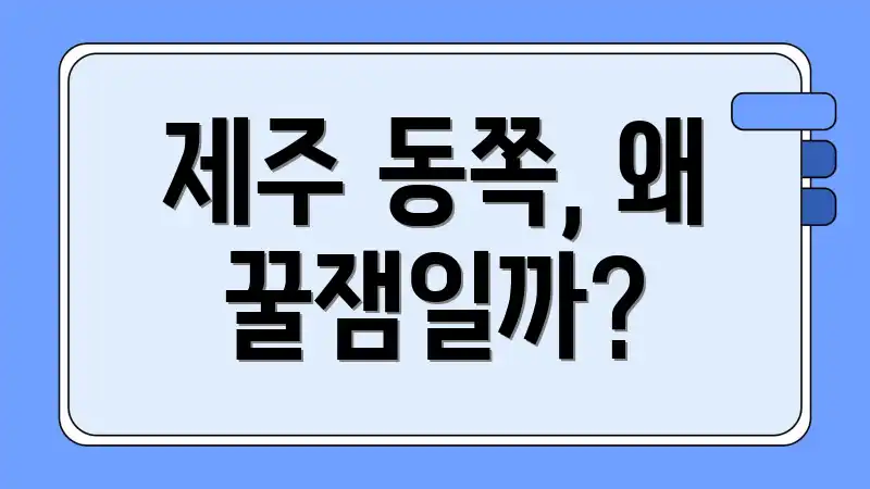 제주 동쪽, 왜 꿀잼일까?