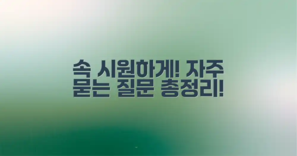 자주 묻는 질문