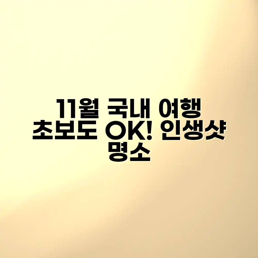 초보도 만끽! 11월 국내 여행지 추천 🍁