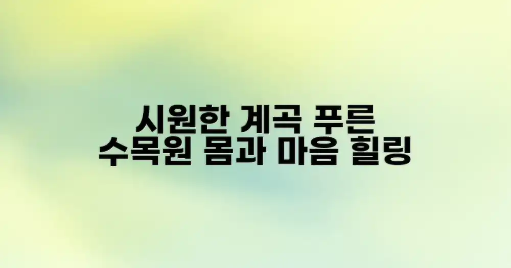 시원한 계곡 & 푸른 수목원으로 떠나는 힐링