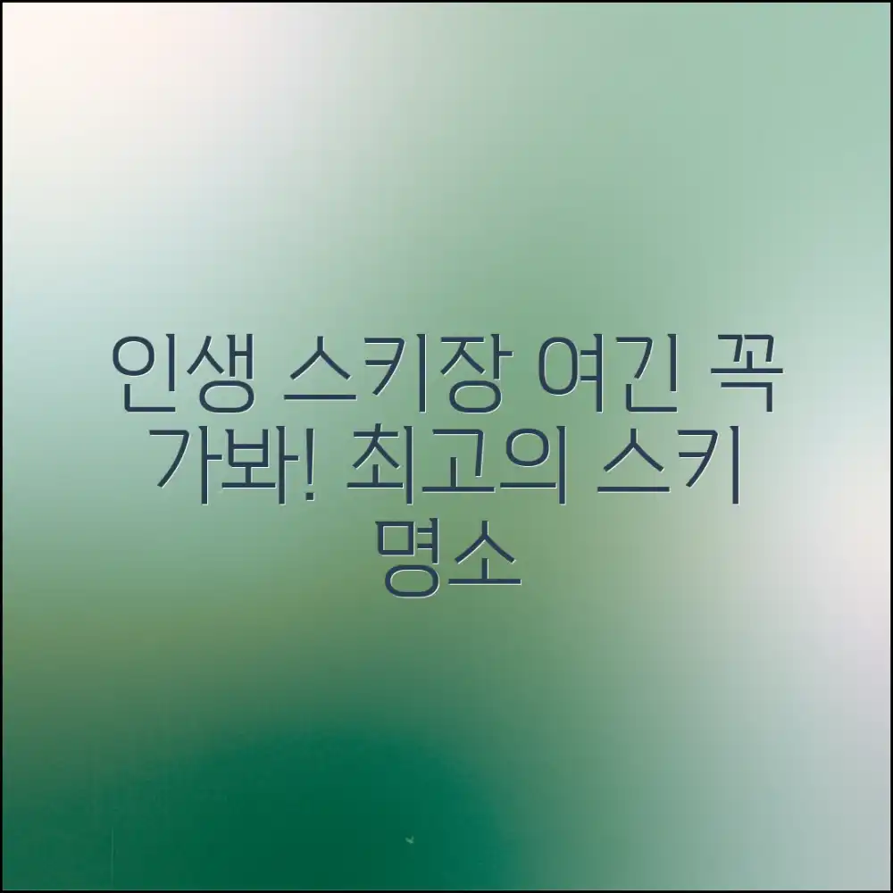 놀라운 스키장 추천, 인생 스키장 찾기!