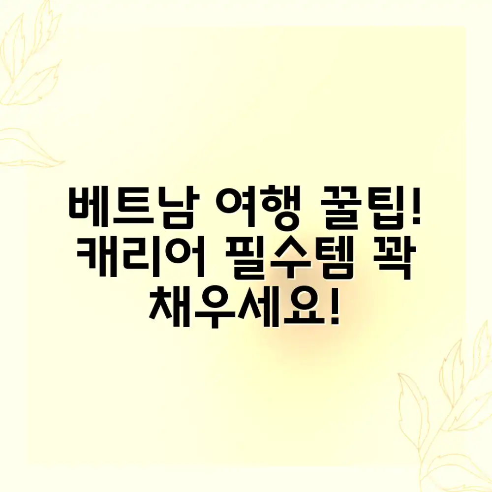 베트남 여행 캐리어, 뭘로 챙길까요?